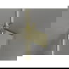 Mexen Lunar-F inklapbare douchedeur rechts 90 cm, transparant, goud - 836-090-000-50-00-P