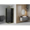 Mexen Rio vierkante douchecabine 80 x 80 cm, grafiet, goud - 860-080-080-50-40
