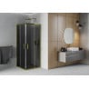 Mexen Rio vierkante douchecabine 90 x 90 cm, grafiet, goud - 860-090-090-50-40