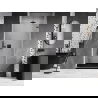 Mexen Lunar-B rahmenlose Duschdrehtür rechts 100 cm, transparent, Gunmetal - 832-100-000-95-00-P