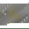 Mexen Lunar-F vouwdeur douchedeur rechts 120 cm, transparant, goud geborsteld - 836S-120-050-55-00-P
