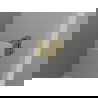 Mexen Lunar-B L douchedeur naar buiten draaiend rechts 140 cm, transparant, goud - 832SL-140-050-50-00-P