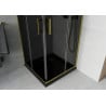 Mexen Rio quadratische Duschkabine 80 x 80 cm, grafit, gold + Flat Duschwanne, schwarz- 860-080-080-50-40-4070G