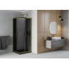 Mexen Rio cabine de douche carrée 80 x 80 cm, graphite, or + receveur Flat, noir - 860-080-080-50-40-4070G