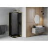 Mexen Rio quadratische Duschkabine 80 x 80 cm, grafit, gold + Flat Duschwanne, schwarz- 860-080-080-50-40-4070G