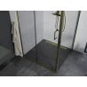 Mexen Apia Schiebeduschkabine 90 x 90 cm, transparent, gold - 840-090-090-50-00