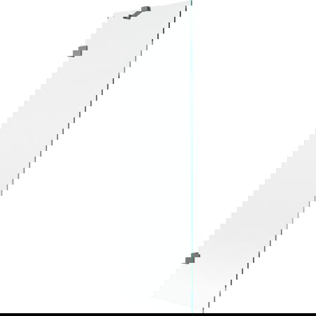 Mexen Lunar duschvägg med en dörr 50 x 150 cm, transparent, kanonmetall - 897-050-000-95-00