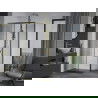 Mexen Apia Duschkabine Schiebetür 100 x 80 cm, transparent, gold - 840-100-080-50-00
