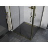 Mexen Apia schuifbare douchecabine 100 x 100 cm, transparant, goud - 840-100-100-50-00