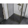 Mexen Apia libisev dušinurk 130 x 80 cm, läbipaistev, kuldne - 840-130-080-50-00
