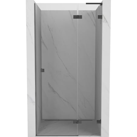 Mexen Lunar L right-hand hinged shower door 120 cm, transparent, brushed gun gray - 834L-120-000-66-00-P