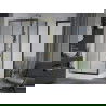 Mexen Apia Duschkabine Schiebetür 120 x 80 cm, transparent, gold + Rio Duschwanne - 840-120-080-50-00-4510