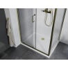 Mexen Apia liuglev dušinurk 100 x 90 cm, läbipaistev, kuldne + Flat dušialus, valge - 840-100-090-50-00-4010G