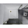 Mexen Apia cabine de douche coulissante 100 x 100 cm, transparent, dorée + receveur Flat, blanc- 840-100-100-50-00-4010G