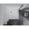Mexen Apia cabine de douche coulissante 100 x 100 cm, transparent, or + receveur Flat, blanc - 840-100-100-50-00-4010G