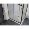 Mexen Apia sliding shower cabin 130 x 90 cm, transparent, gold + Flat shower tray, white - 840-130-090-50-00-4010G