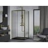 Mexen Apia Schiebeduschkabine 140 x 90 cm, transparent, gold + Duschwanne Flat, schwarz - 840-140-090-50-00-4070G