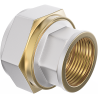 Mexen PEX-S verschraubte Reduzierung PEX 16 x 1/2 GW - W97222-1612F-00