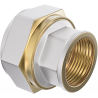 Mexen PEX-S Reduzierung Schraubfitting PEX 20 x 1/2 IG - W97222-2012F-00