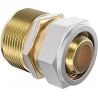 Mexen PEX-S reduzierendes Schraubstück PEX 25 x 3/4 GZ - W97223-2534M-00