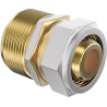 Mexen PEX-S reduceerstuk schroefbaar PEX 25 x 1 GZ - W97223-2510M-00