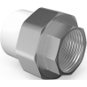 Mexen PPR Muffenschraubverbindung, geschweißt für PPR-Rohre 50 x 6/4 IG - W97355-5064F-00
