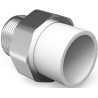 Mexen PPR Muffenschweißfitting für PPR-Rohre 20 x 1/2 AG - W97356-2012M-00