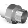 Mexen PPR Muffenschraubverbindung für PPR-Rohre 32 x 1 AG - W97356-3210M-00