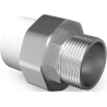 Mexen PPR Muffenschraubfitting verschweißt für PPR-Rohre 63 x 2 AG - W97356-6320M-00