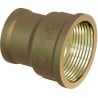 Mexen BRASS brass reducing coupling 1" F x 3/4" F - W97406-1034