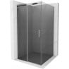 Mexen Omega cabina de ducha corredera 100 x 100 cm, grafito, cromo - 825-100-100-01-40