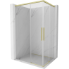 Mexen Rox Duo Duschkabine verschiebbar 120 x 110 cm, transparent, gebürstetes Gold - 8C2D-120-110-55-00