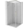 Mexen Rox Duo Duschkabine schiebbar 85 x 85 cm, transparent, gebürsteter Nickel - 8C2D-085-085-97-00