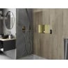 Mexen X-Wall-NR Nischenregal ohne Flansch mit Regal 60 x 30 cm, gebürstetes Gold - 1951603010S