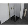 Mexen Pretoria hinged shower cabin 70 x 70 cm, transparent, gold + Flat tray, black - 852-070-070-50-00-4070G