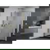 Mexen Pretoria douchecabine scharnierend 100 x 70 cm, transparant, goud + Flat douchebak, zwart - 852-100-070-50-00-4070G