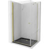 Mexen Pretoria douchecabine scharnierend 100 x 70 cm, transparant, goud + Flat douchebak, zwart - 852-100-070-50-00-4070G
