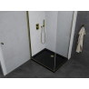 Mexen Pretoria kabina tuš kabine s vratima 100 x 80 cm, prozirna, zlatna + plitak tuš, crni - 852-100-080-50-00-4070G