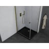 Mexen Pretoria cabine de douche pivotante 100 x 90 cm, transparent, dorée + receveur Flat, noir - 852-100-090-50-00-4070G