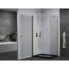 Mexen Pretoria cabine de douche pivotante 100 x 90 cm, transparente, dorée + receveur Flat, noir - 852-100-090-50-00-4070G