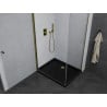 Mexen Pretoria cabine de douche pivotante 100 x 90 cm, transparente, dorée + receveur Flat, noir - 852-100-090-50-00-4070G