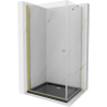 Mexen Pretoria cabine de douche pivotante 100 x 90 cm, transparente, dorée + receveur Flat, noir - 852-100-090-50-00-4070G