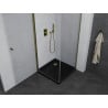Mexen Pretoria Duschecke schwenkbar 100 x 100 cm, transparent, golden + Flat Duschwanne, schwarz - 852-100-100-50-00-4070G