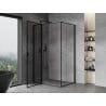 Mexen Mist T Hinged Shower Enclosure Left 70 x 100 cm, Black Frame, Black - 8A4T-070-100-70-70-L