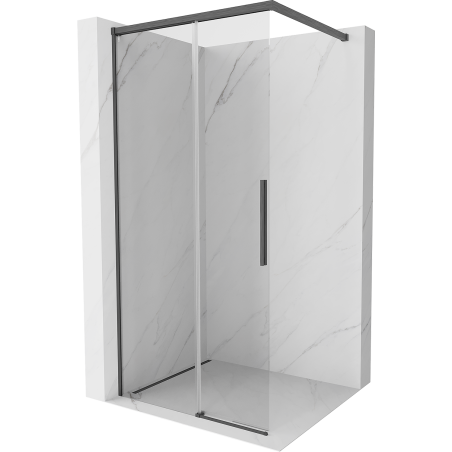 Mexen Rox ścianka prysznicowa Walk-in 120 x 200 cm, transparent 8 mm, gun gray szczotkowany - 8C2-120-003-66-00