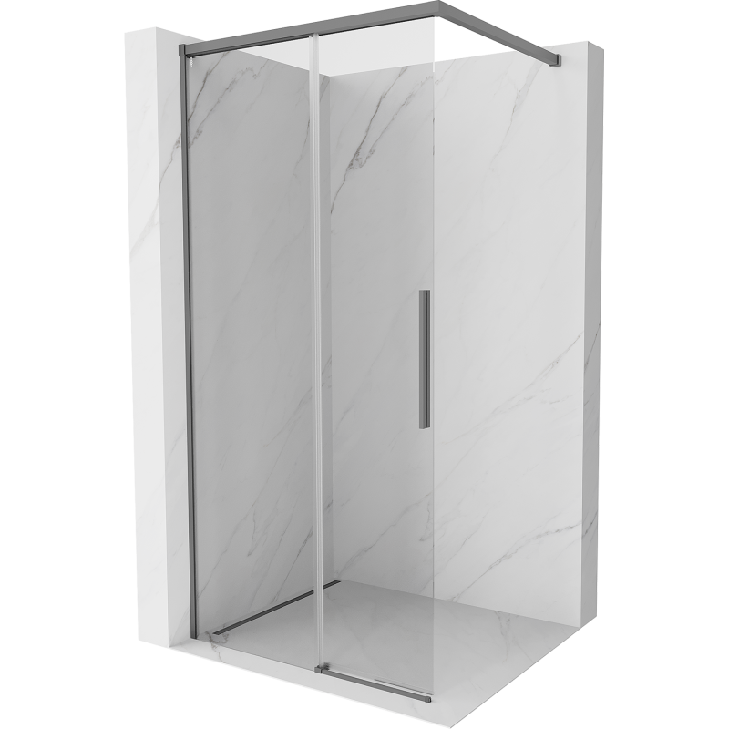 Mexen Rox Walk-in Shower Wall 120 x 200 cm, Transparent 8 mm, Gun Metal - 8C2-120-003-95-00