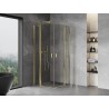 Mexen Mist Duo hinged dušikabiin 70 x 70 cm, läbipaistev, kuldne - 8A4-070-070-50-00