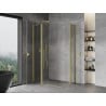 Mexen Mist Duo Duschkabine 120 x 100 cm, transparent, gebürstetes Gold - 8A4-120-100-55-00