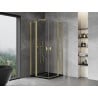 Mexen Mist Duo Hinged Shower Enclosure 115 x 115 cm, Transparent, Brushed Gold - 8A4-115-115-55-00