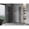 Mexen Mist Duo Duschkabine schwenkbar 95 x 85 cm, transparent, schwarz - 8A4-095-085-70-00